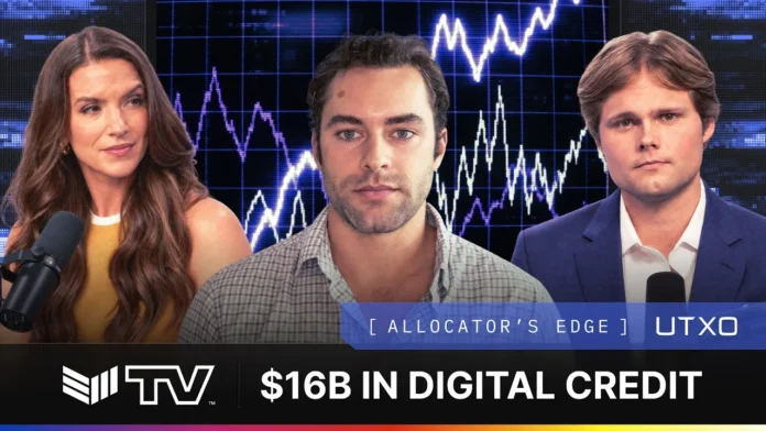 Dan Hillery Predicts Digital Credit May Challenge Bitcoin's Valuation