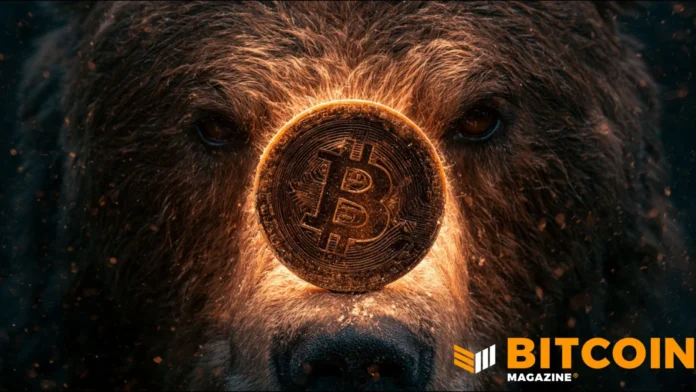 Fidelity Warns Bitcoin Bear Market May Persist